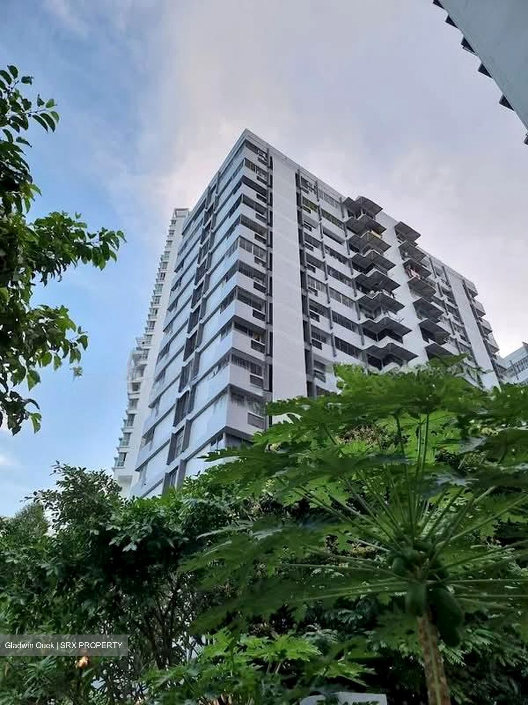 Mandalay Towers (D11), Apartment #558620541
